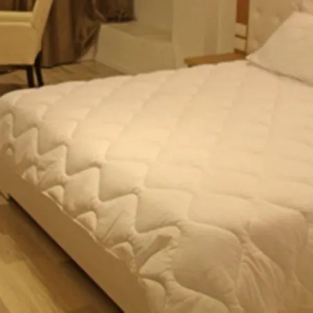 酒店 Regina Blu 5*